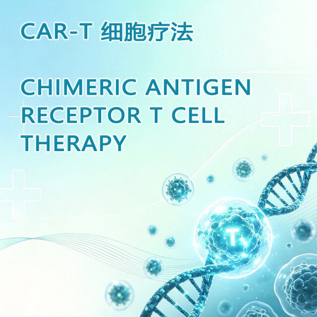 CAR-T CELL THERAPY